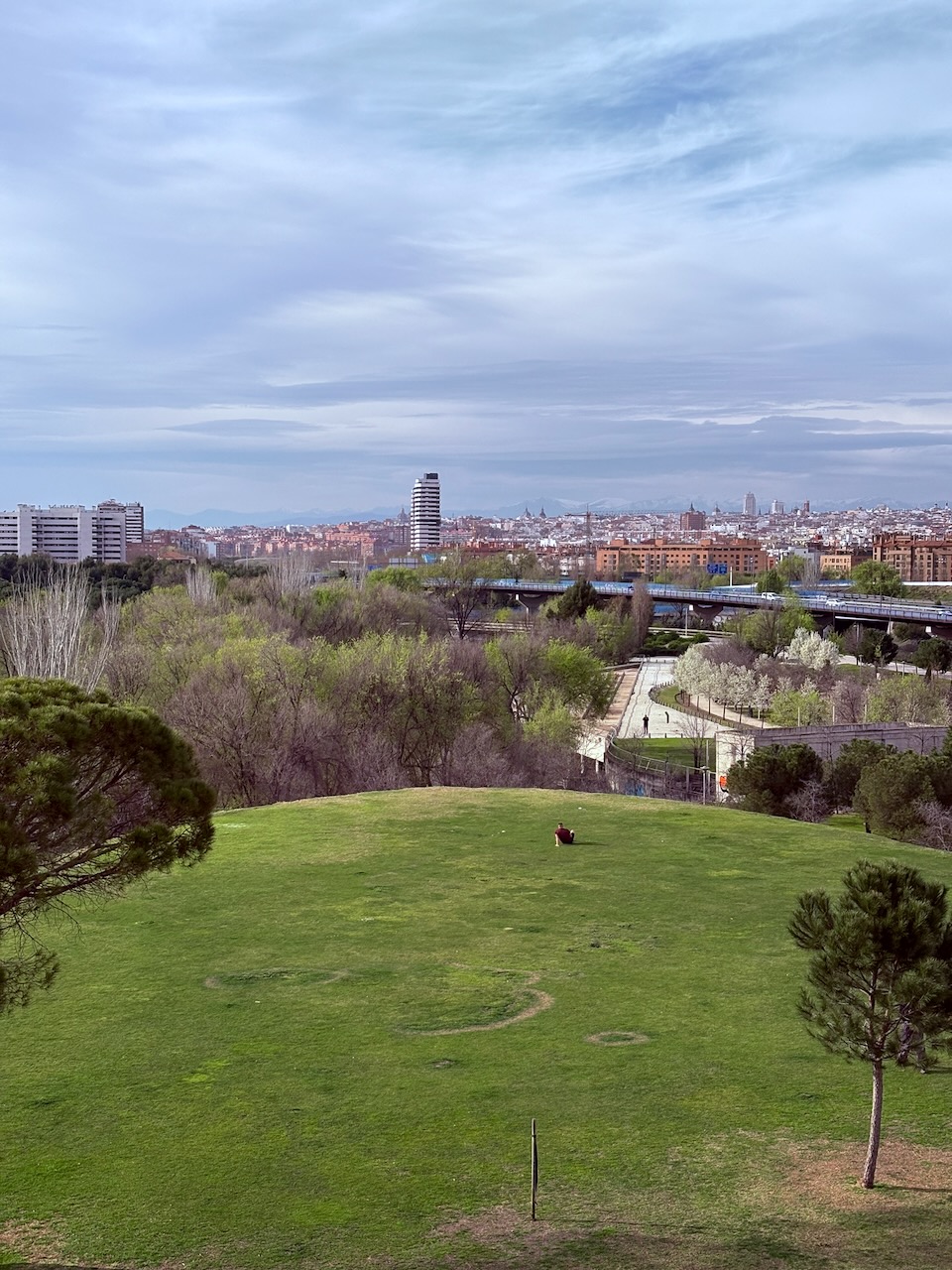 Green hill with tree, cityscape in background under cloudy sky.