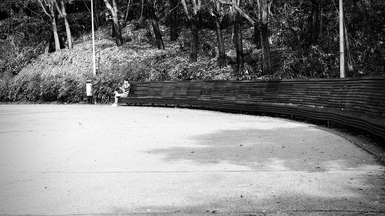 A person sitting on a curved bench in a park, surrounded by trees and bushes.