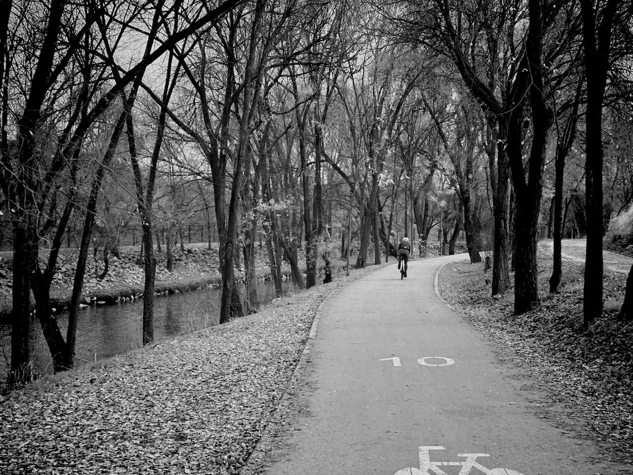 A cyclist on a tree-lined path beside a river in a park, autumn leaves scattered around.