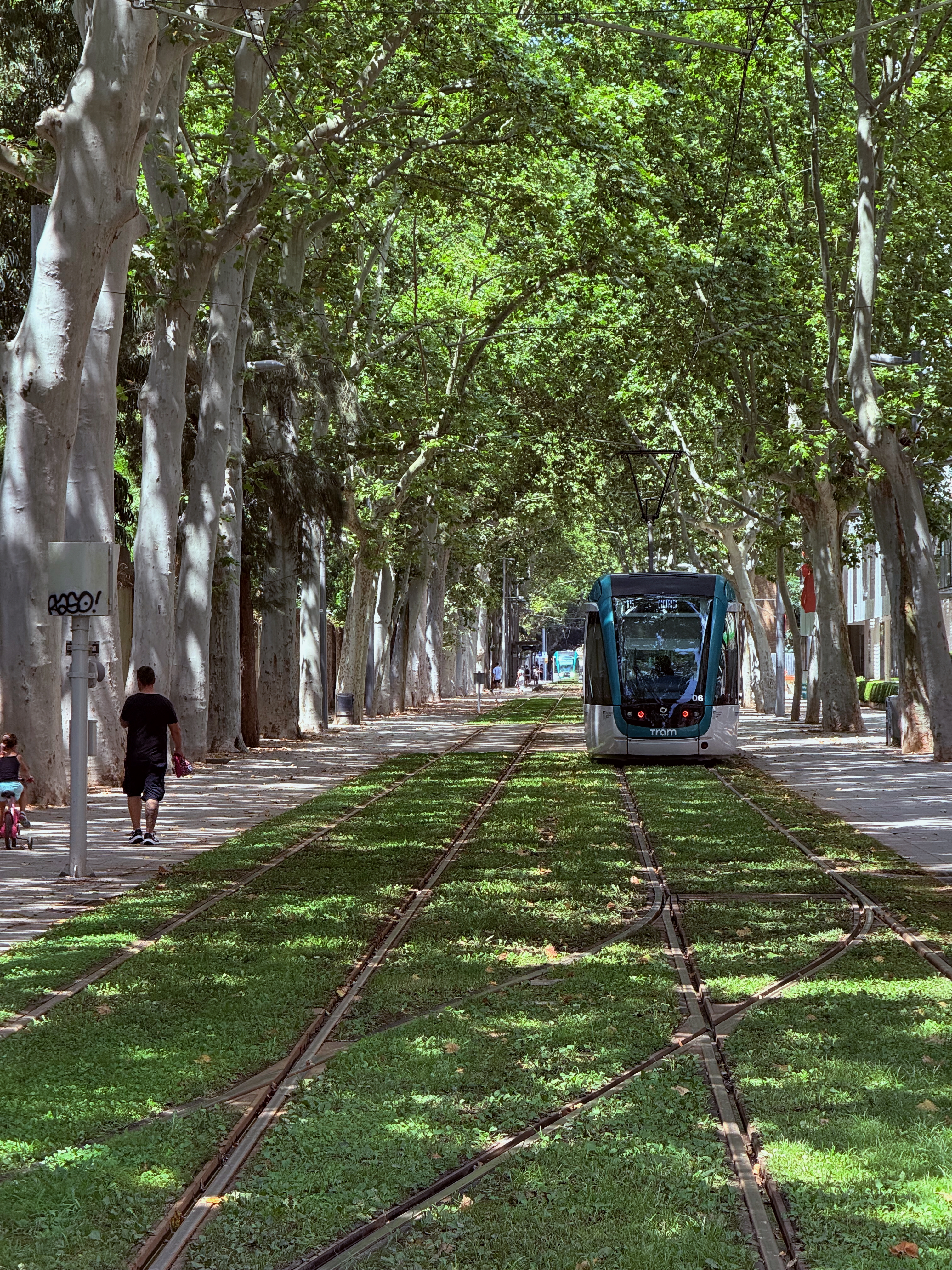 Wellington St, Barcelona. A tram under the trees
