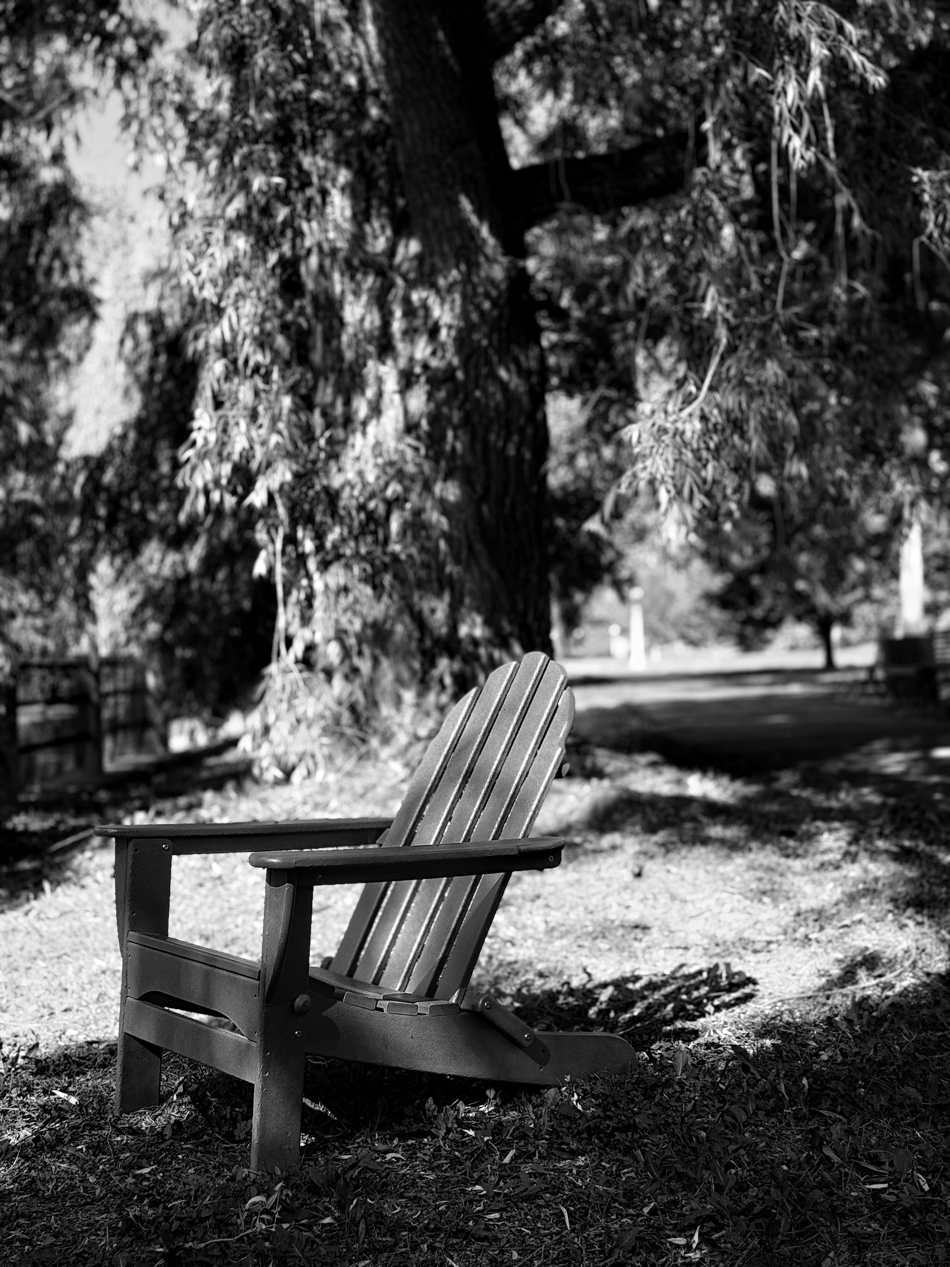 A chair in the park